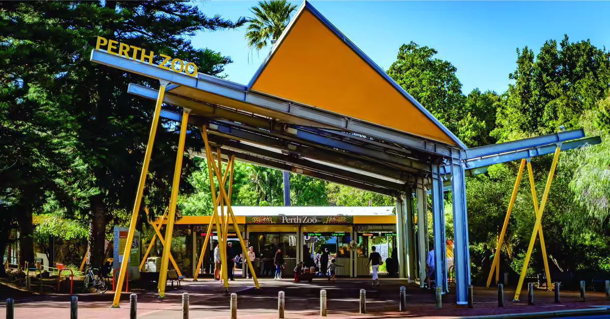 Read more about the article Hyena’s, Giraffes and a Rhinoceros – Family Day at Perth Zoo