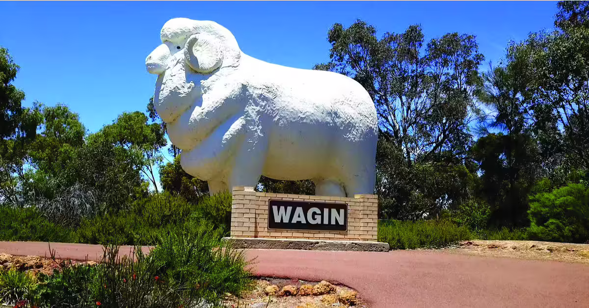 Read more about the article Exploring Wagin, Western Australia: A First-Time Visitor’s Guide