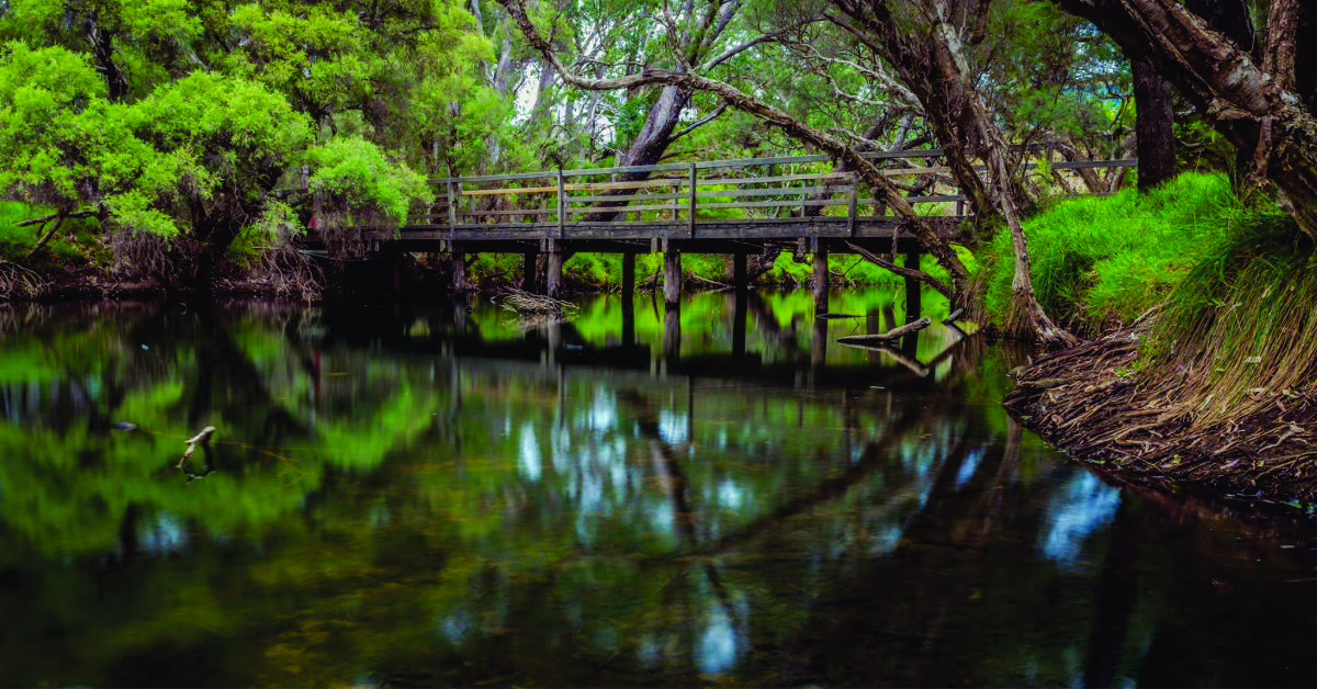 Read more about the article Exploring Pinjarra: A Hidden Gem in Western Australia’s Peel Region