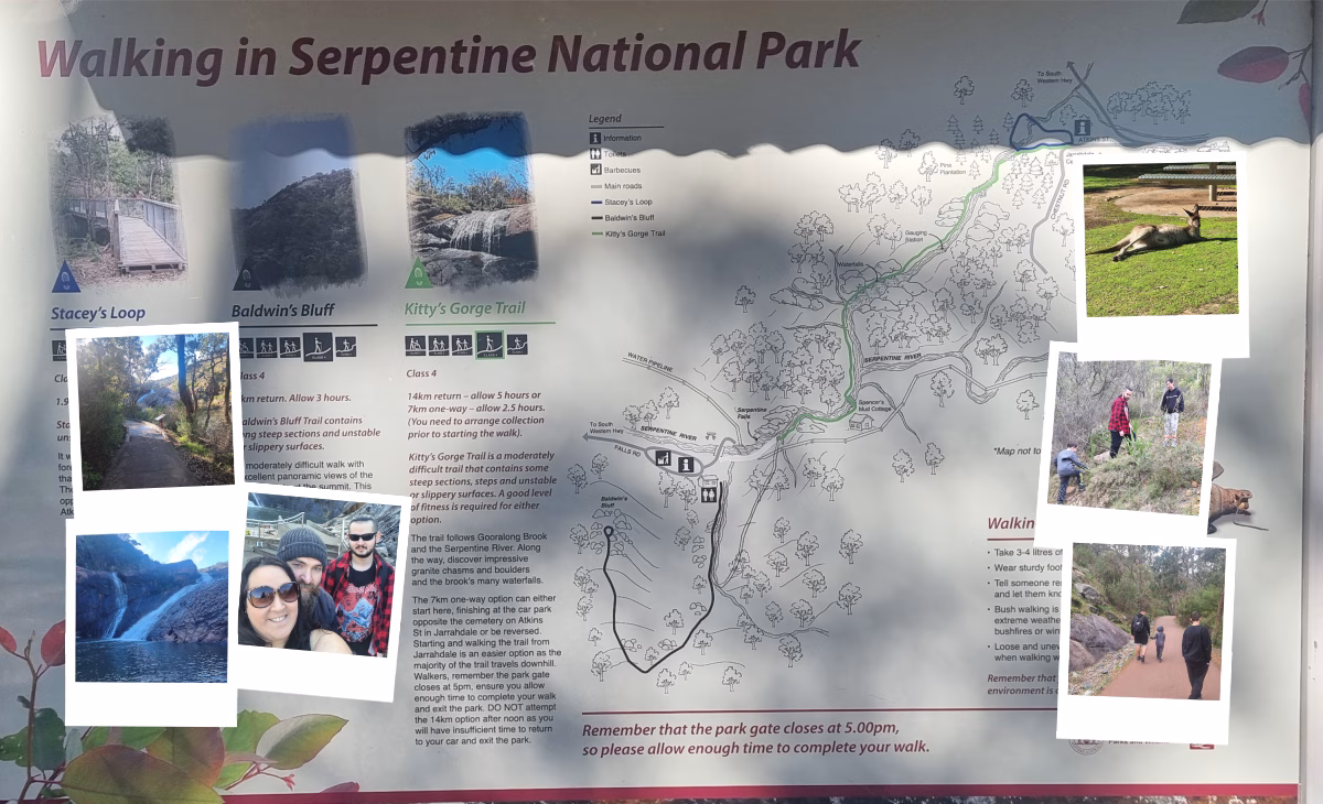 Read more about the article Serpentine + Jarrahdale – WA Winter Spring Bush Walk Guide